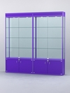 Витрина "АЛПРО" №1-2м-300-2 (задняя стенка - стекло), Фиолетовый