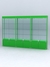 Витрина "АЛПРО" №1-3м-300-2 (задняя стенка - стекло)  Зеленый