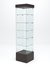 Витрина стеклянная "ИСТРА ПОДИУМ" №510-Ф (с дверкой, задняя стенка - стекло)  Дуб Венге