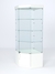 Витрина стеклянная "ИСТРА" угловая №13 пятигранная (с дверкой, задние стенки - стекло) Белый
