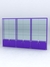 Витрина "АЛПРО" №2-3м-200-2 (задняя стенка - стекло) Фиолетовый