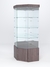 Витрина стеклянная "ИСТРА" угловая №14 пятигранная (с дверкой, задние стенки - зеркало) Ясень Анкор
