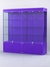 Витрина "АЛПРО" №1-2м-500-1 (задняя стенка - ДВП) Фиолетовый