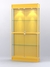 Витрина "АЛПРО" №3-200-1 (задняя стенка - ДВП)  Желтый