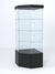 Витрина стеклянная "ИСТРА" угловая №13 пятигранная (с дверкой, задние стенки - стекло) Черный