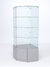 Витрина стеклянная "ИСТРА" угловая №115 пятигранная (без дверки, задние стенки - стекло) Серый