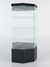 Витрина стеклянная "ИСТРА" угловая №14 пятигранная (с дверкой, задние стенки - зеркало) Черный