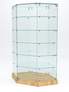 Витрина стеклянная "ИСТРА ХИТ ПРОДАЖ" №513 (с дверкой,  задняя стенка - стекло), Дуб Золотистый