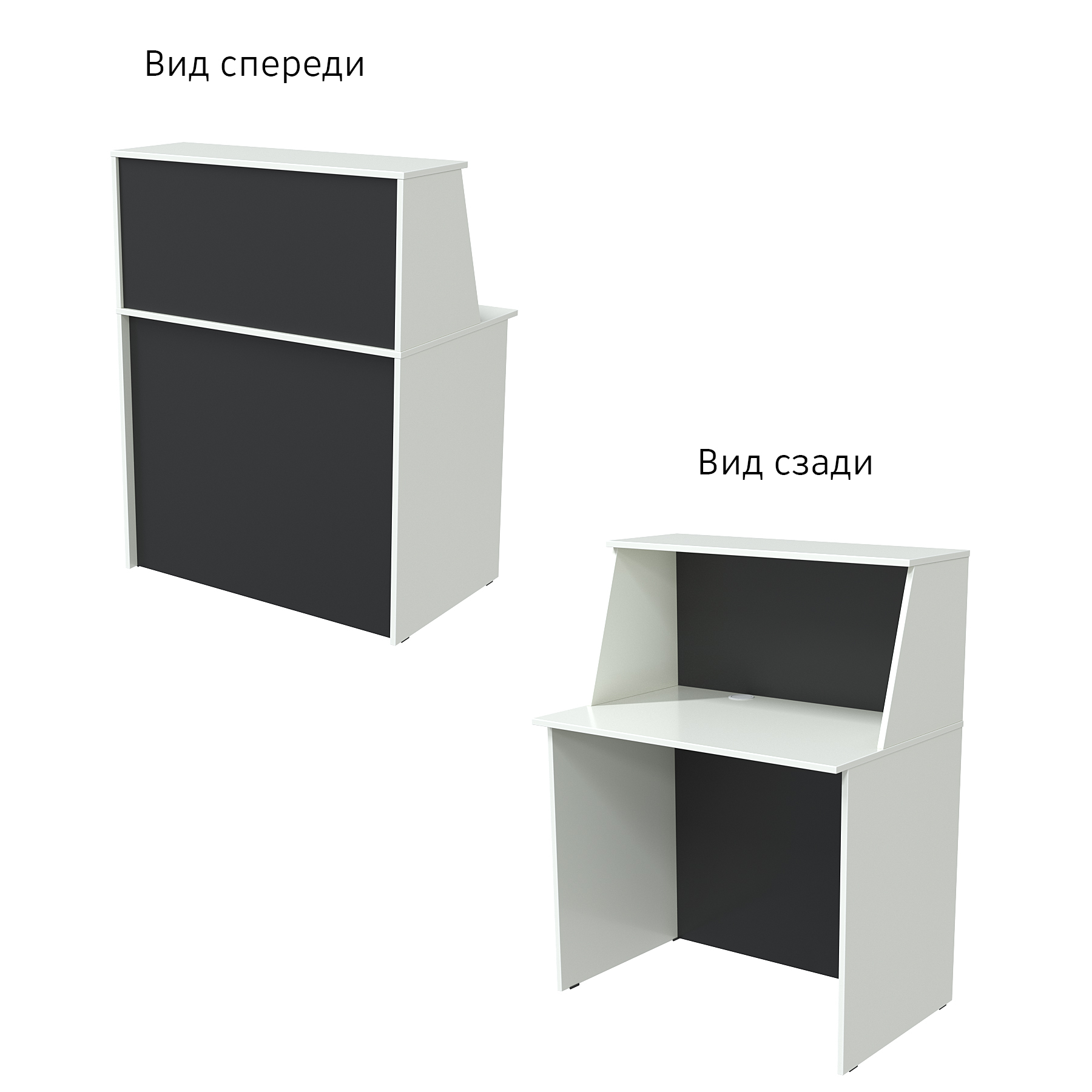 Ресепшн "ЭДЕМ" прямой Белый и Черный