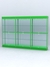 Витрина "АЛПРО" №3-3м-300-2 (задняя стенка - стекло)  Зеленый
