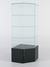 Витрина стеклянная "ИСТРА" угловая №15 пятигранная (с дверкой, задние стенки - стекло) Черный