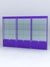 Витрина "АЛПРО" №1-3м-200-2 (задняя стенка - стекло)  Фиолетовый