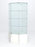 Витрина стеклянная "ИСТРА" угловая №15 пятигранная (с дверкой, задние стенки - стекло) Белый
