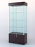Витрина "ЛЮКС" №5 с подсветкой (задняя стенка - стекло) Дуб Сорано черно-коричневый H1137 ST11