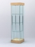 Витрина "АВРОРА" №6-1 с регулируемыми по высоте полками (зад.стенка - стекло) Дуб Сорано натуральный светлый H1334 ST9