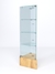 Витрина стеклянная "ИСТРА" угловая №12-У трехгранная (с дверками, бока - зеркало) Дуб Золотистый