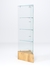 Витрина стеклянная "ИСТРА" угловая №109-У трехгранная (без дверок, бока - стекло) Дуб Золотистый